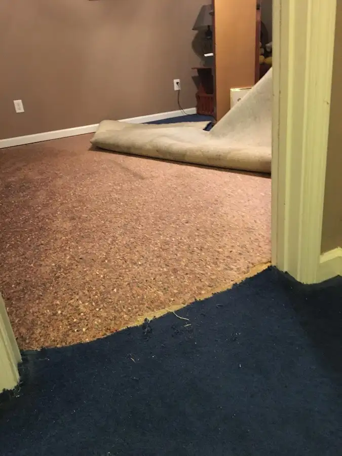 Carpet pad removal revealing water damage during Drying & Dehumidification in Weehawken